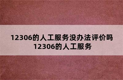 12306的人工服务没办法评价吗 12306的人工服务